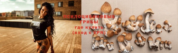 крисы Нягань