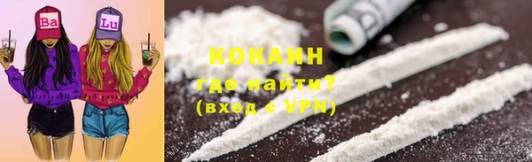крисы Нея