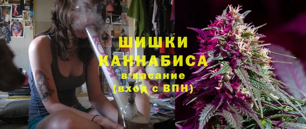 первитин Новодвинск