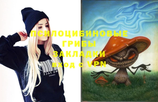 первитин Новодвинск