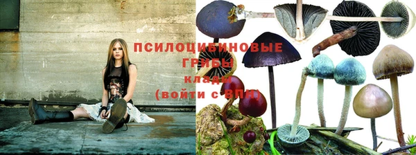 спайс Новокубанск