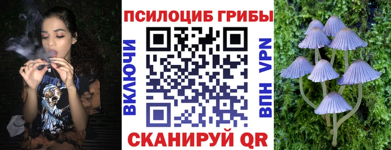 Галлюциногенные грибы Psilocybe  Купить  Усолье-Сибирское 